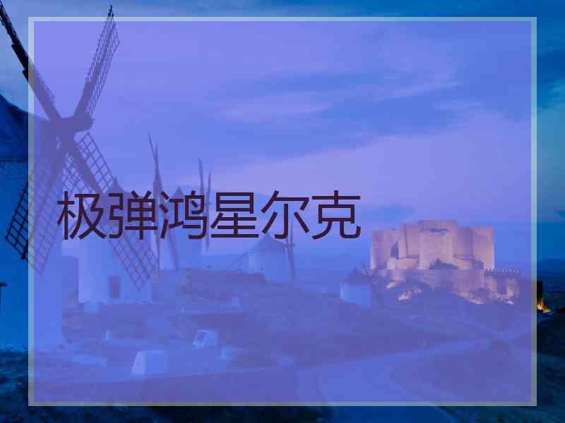 极弹鸿星尔克