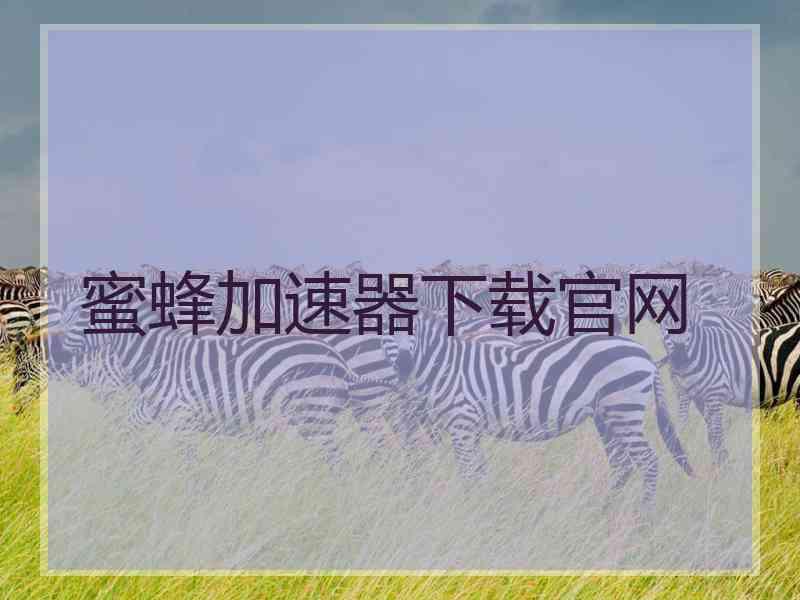 蜜蜂加速器下载官网