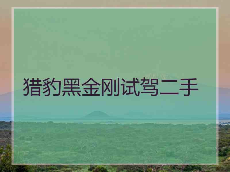 猎豹黑金刚试驾二手