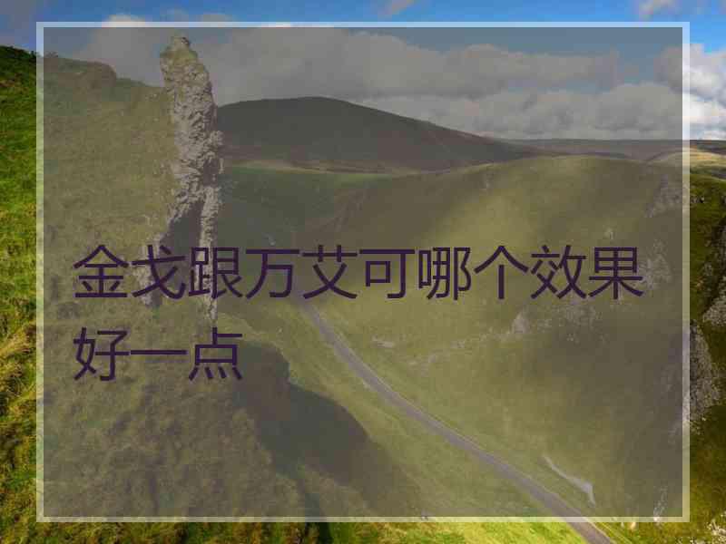 金戈跟万艾可哪个效果好一点