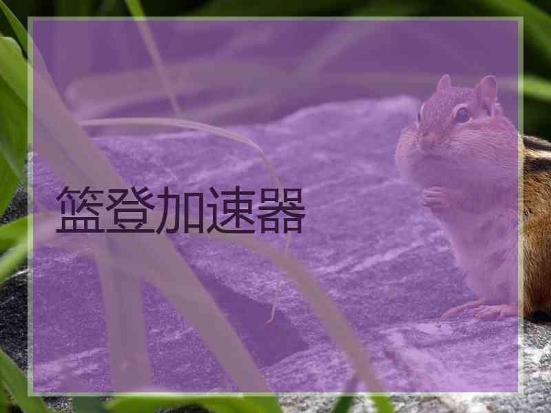 篮登加速器
