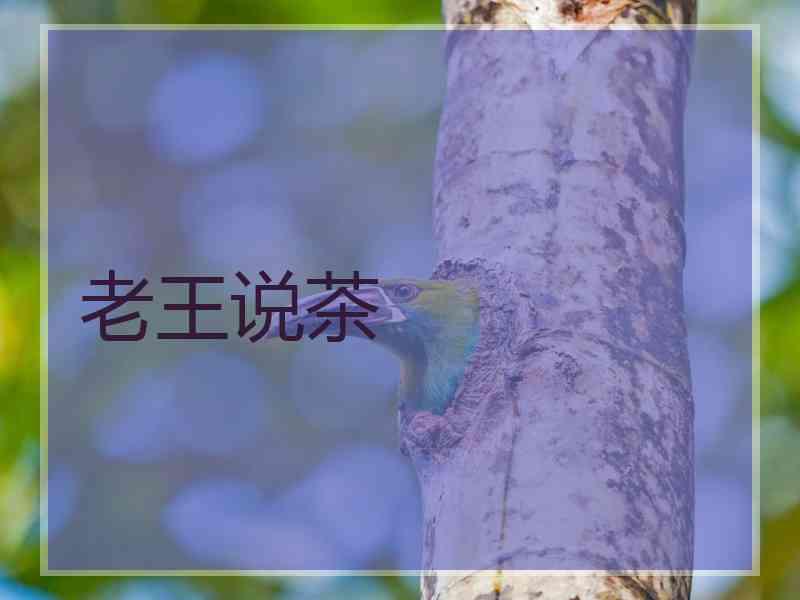 老王说茶