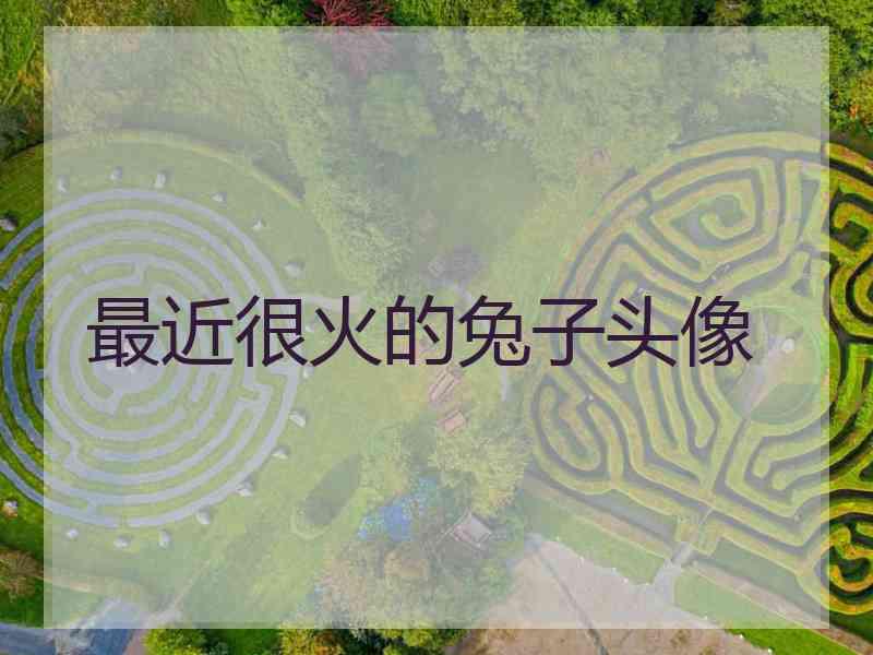 最近很火的兔子头像
