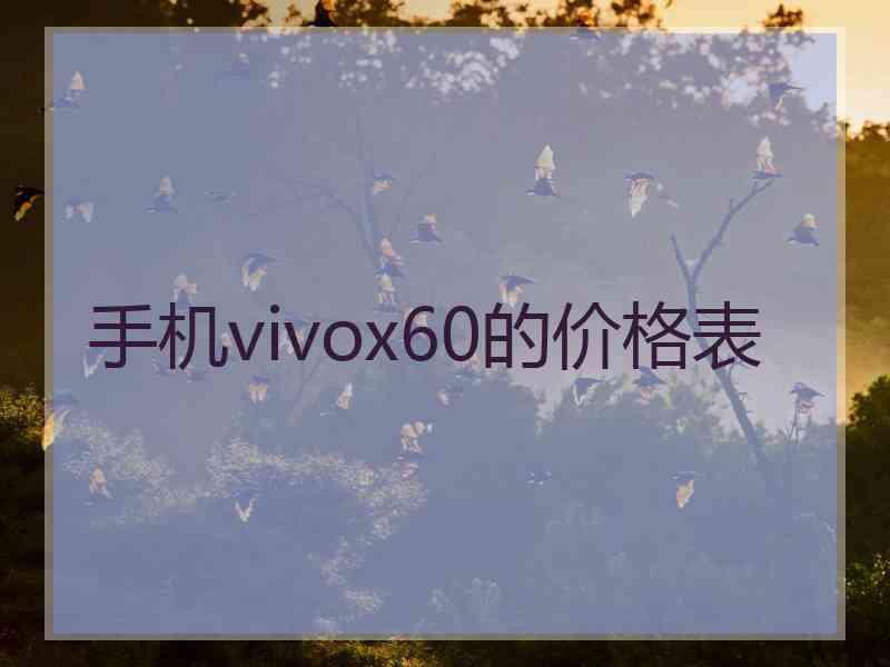手机vivox60的价格表