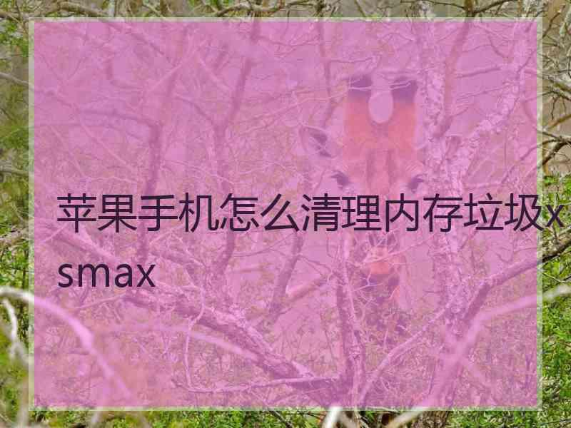 苹果手机怎么清理内存垃圾xsmax