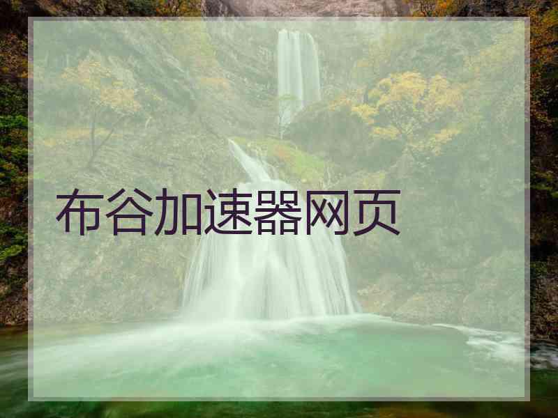 布谷加速器网页