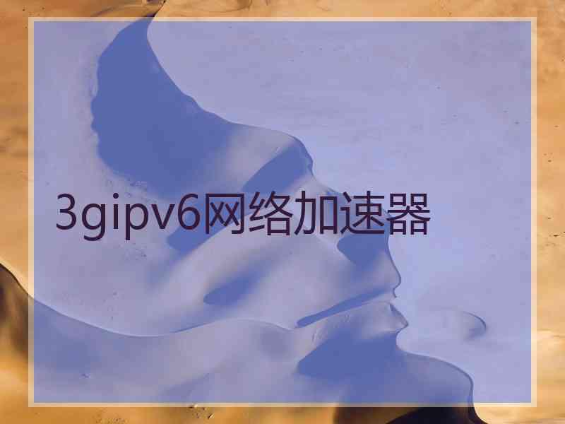 3gipv6网络加速器