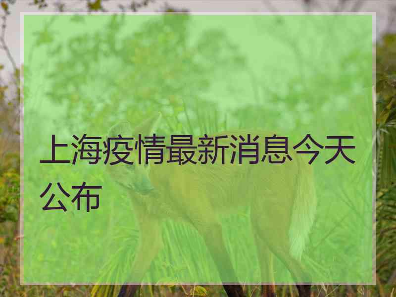 上海疫情最新消息今天公布
