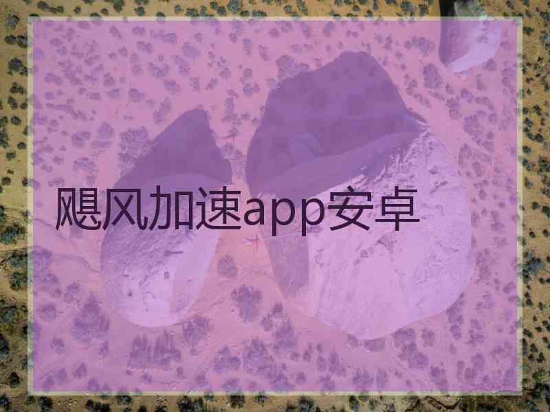 飓风加速app安卓