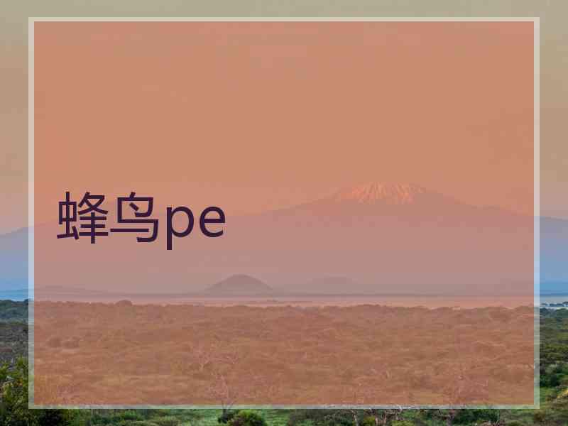 蜂鸟pe