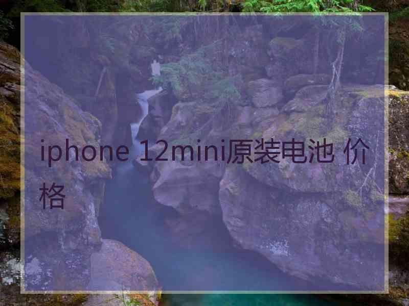 iphone 12mini原装电池 价格