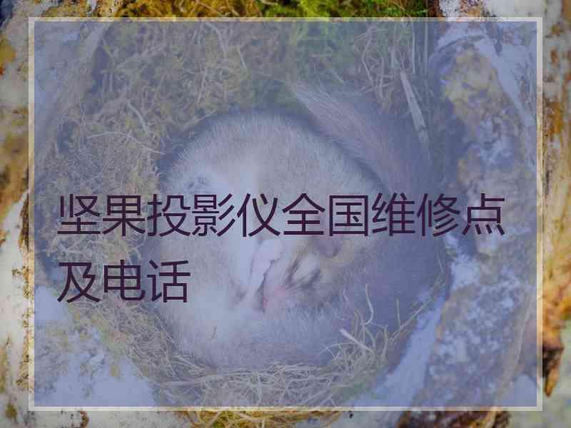 坚果投影仪全国维修点及电话