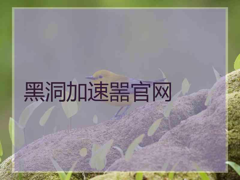 黑洞加速噐官网