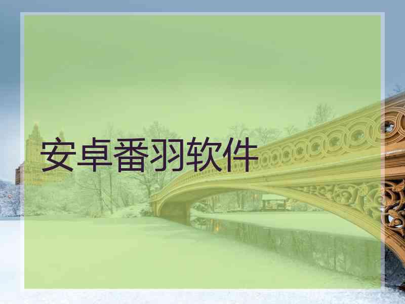 安卓番羽软件