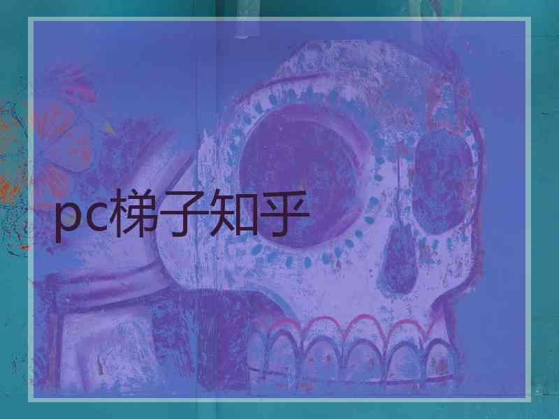 pc梯子知乎