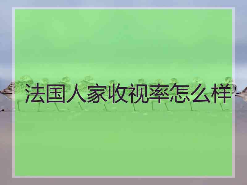 法国人家收视率怎么样