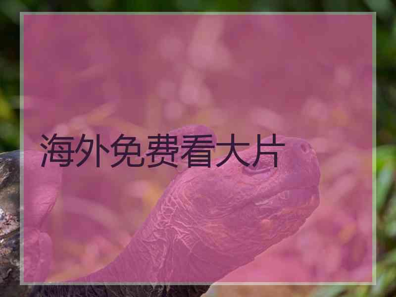 海外免费看大片