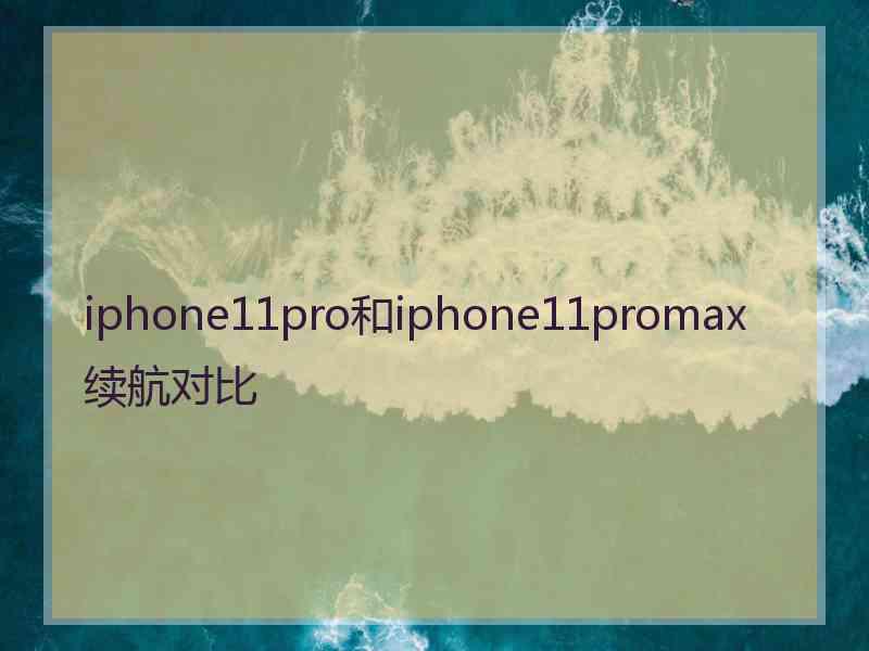 iphone11pro和iphone11promax续航对比