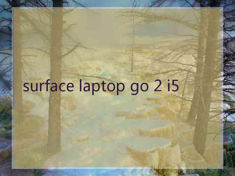 surface laptop go 2 i5