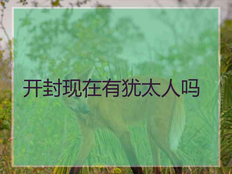 开封现在有犹太人吗