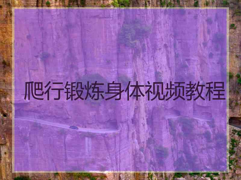 爬行锻炼身体视频教程