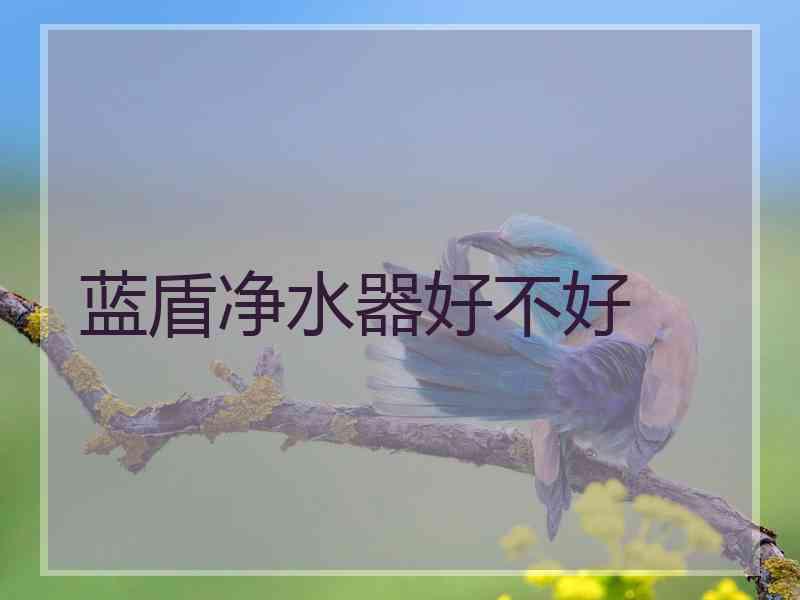 蓝盾净水器好不好