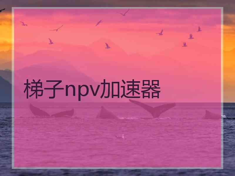 梯子npv加速器