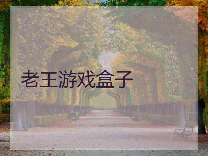 老王游戏盒子