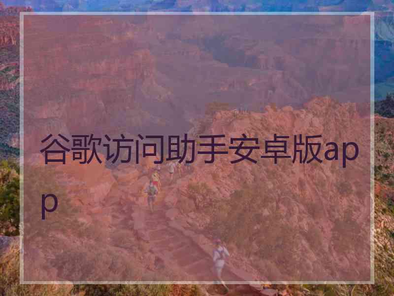 谷歌访问助手安卓版app