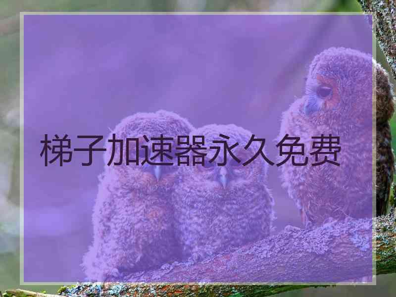梯子加速器永久免费