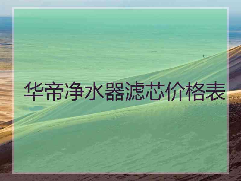 华帝净水器滤芯价格表