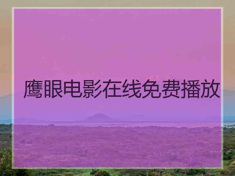 鹰眼电影在线免费播放
