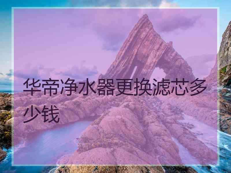 华帝净水器更换滤芯多少钱