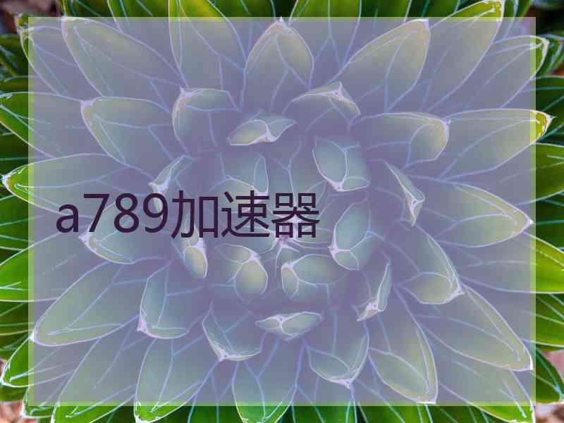 a789加速器