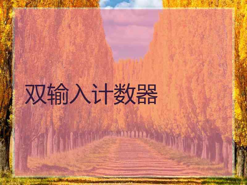 双输入计数器