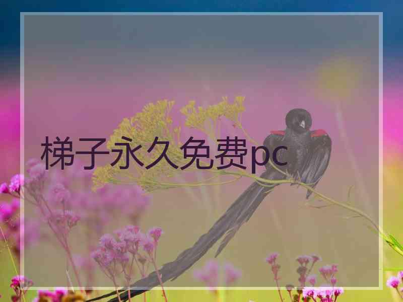 梯子永久免费pc