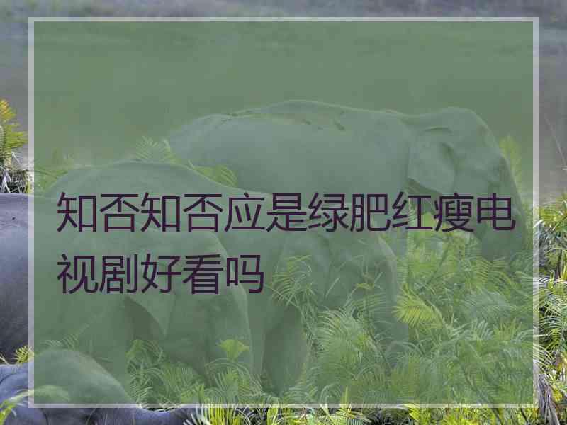 知否知否应是绿肥红瘦电视剧好看吗
