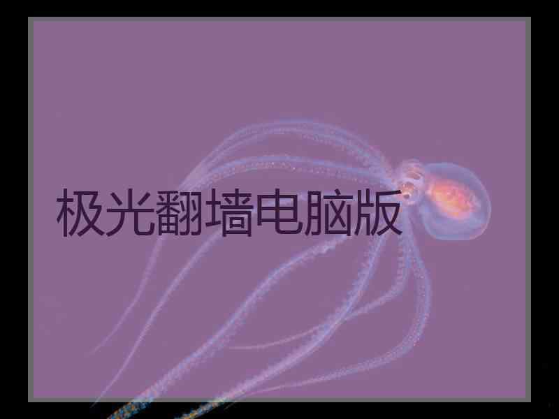 极光翻墙电脑版