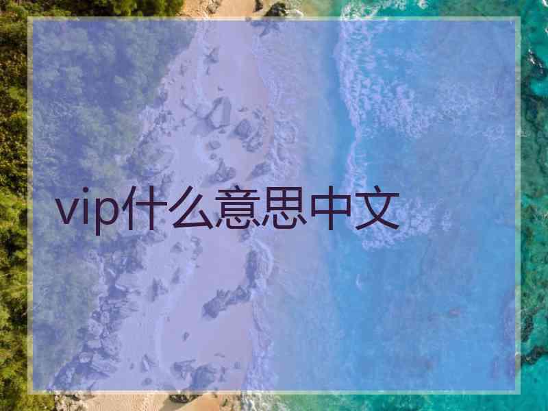 vip什么意思中文