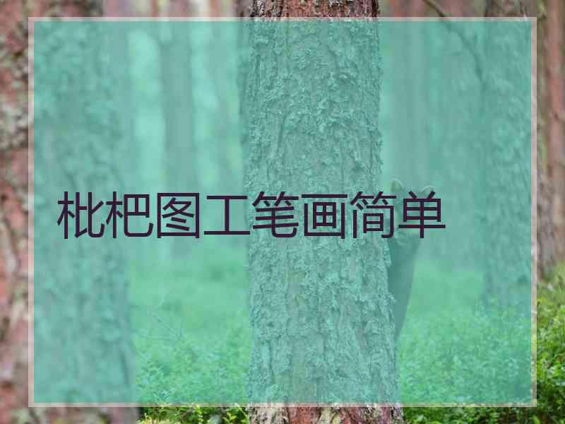 枇杷图工笔画简单