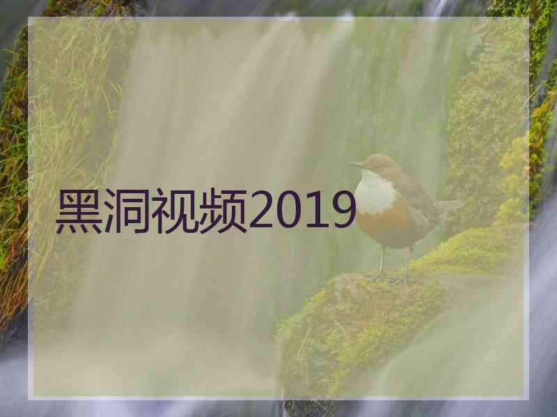 黑洞视频2019