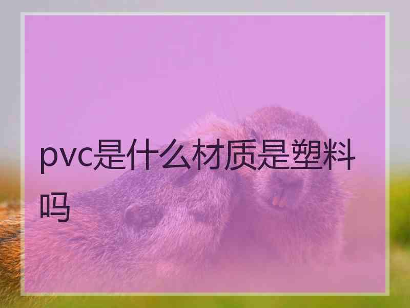 pvc是什么材质是塑料吗