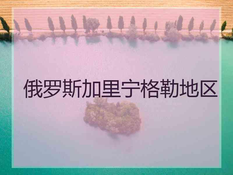俄罗斯加里宁格勒地区