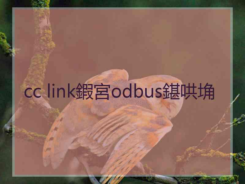 cc link鍜宮odbus鍖哄埆