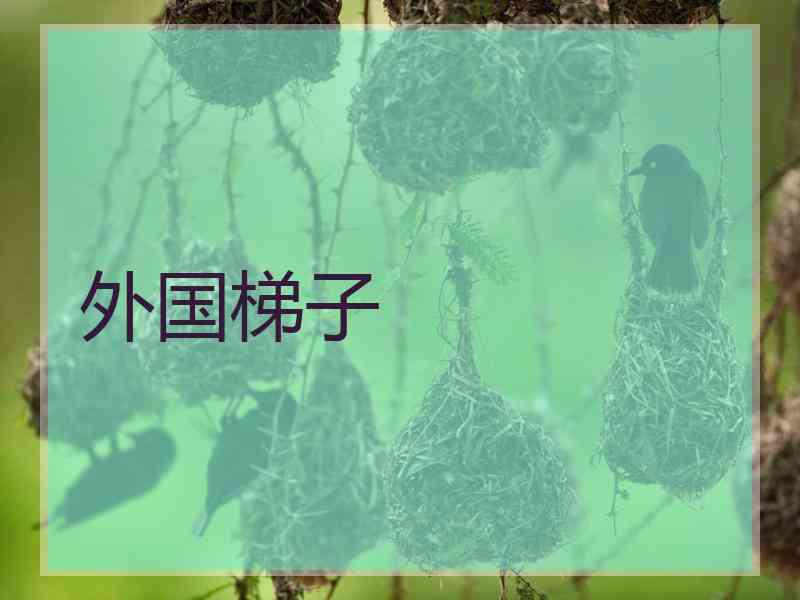 外国梯子