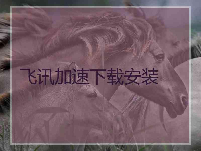 飞讯加速下载安装