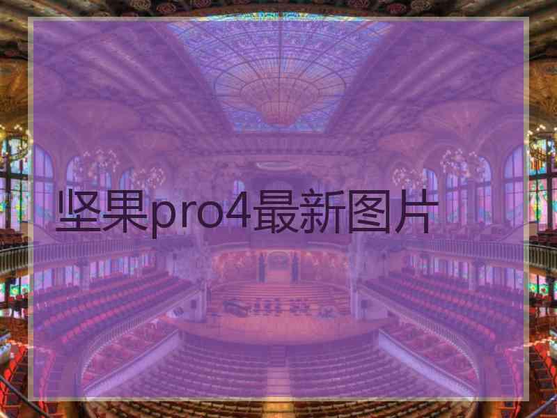 坚果pro4最新图片
