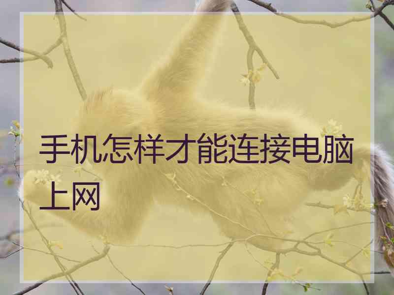 手机怎样才能连接电脑上网