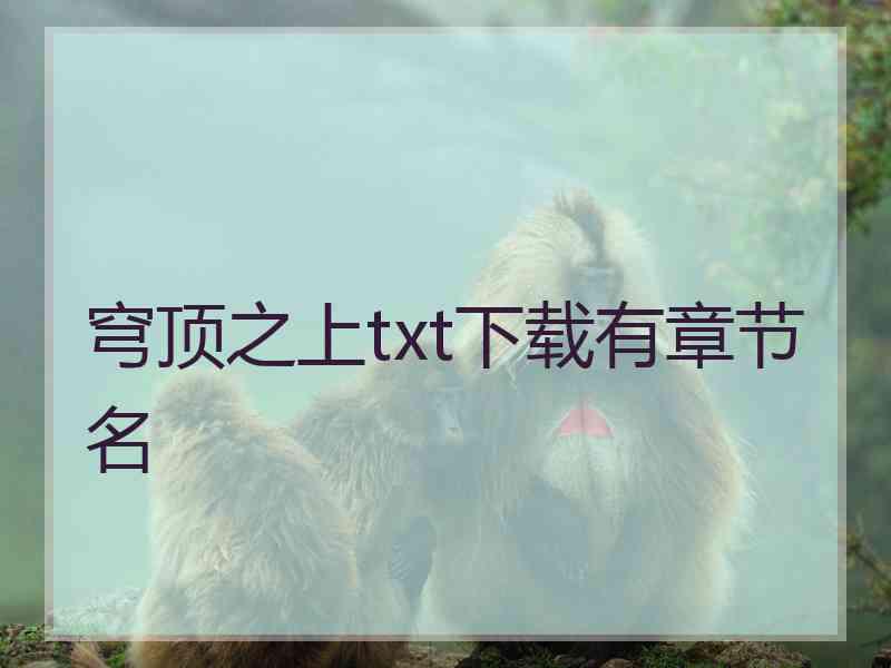 穹顶之上txt下载有章节名