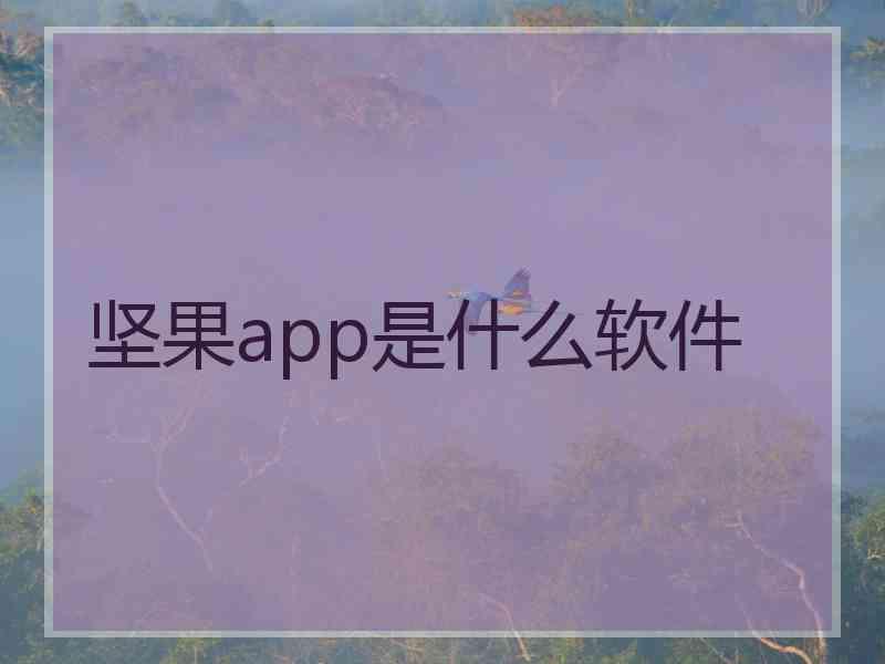 坚果app是什么软件